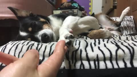 Plz, give me your hand~!