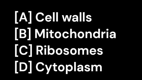 The Anatomy of a Cell