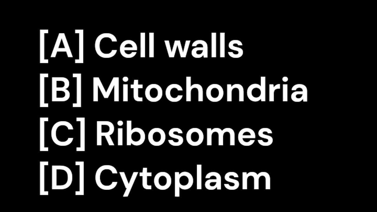 The Anatomy of a Cell