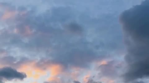 I Would Die To Get Mine