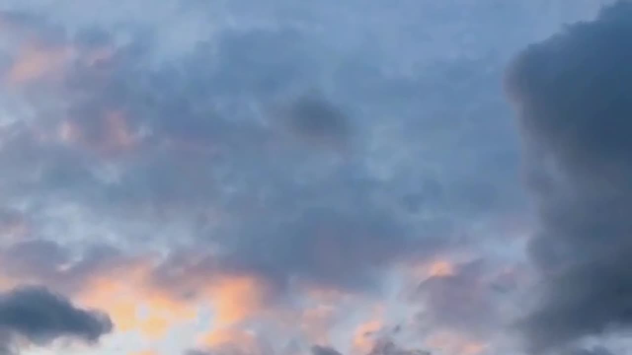 I Would Die To Get Mine