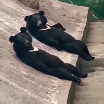 We come in peace bro