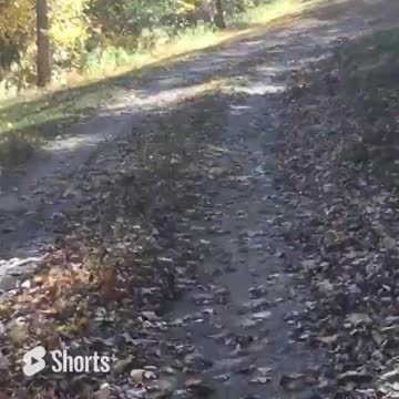 Firewood: Are you staying warm for the winter