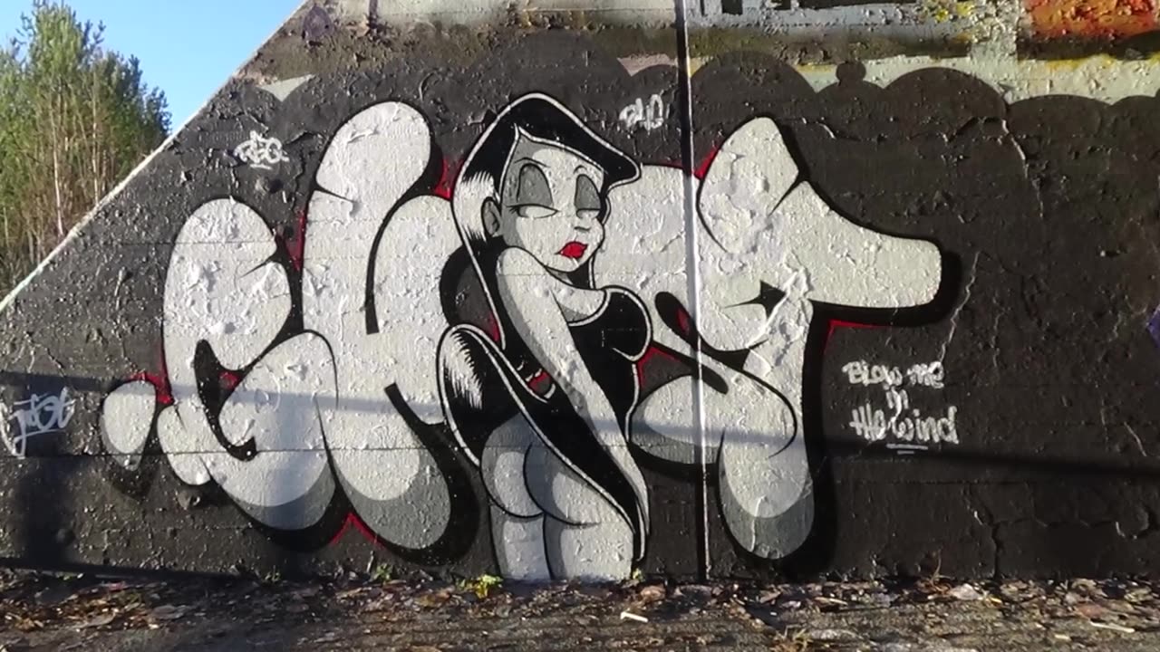 VihtiGraffiti VG50