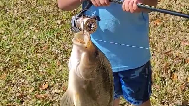 1st fish!!! Yup. He's DEFINITELY JUNIOR.