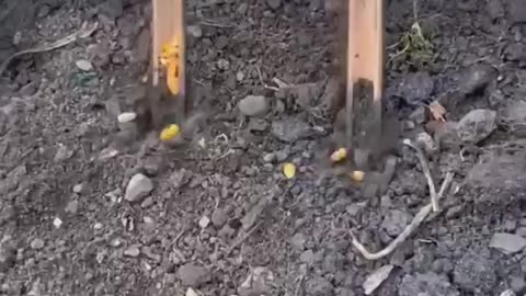 Wife Revenge 😂 ~ mini wood toy -woodworking art skill wood
