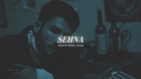 Sehna - Perfectly Slowed + Reverb Jani