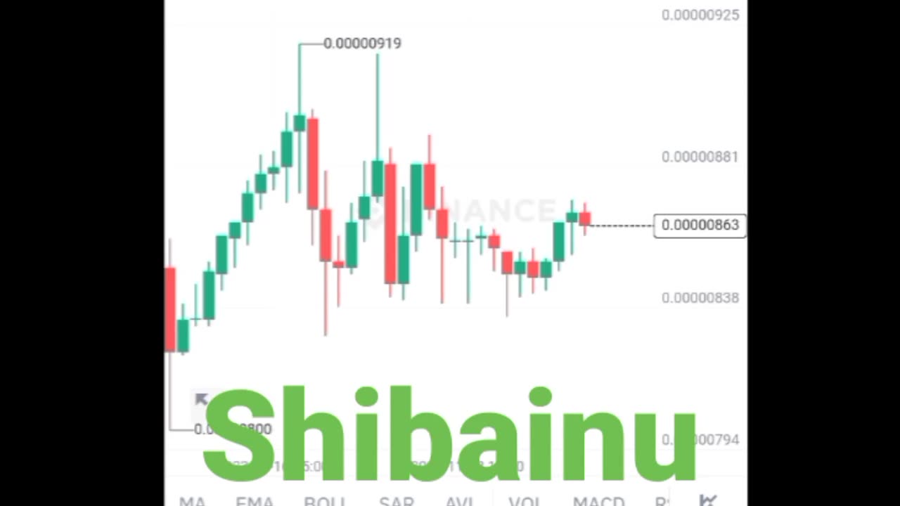 BTC coin Shibainu coin Etherum coin Cryptocurrency Crypto loan cryptoupdates song trading insurance Rubbani bnb coin short video reel #shibainu