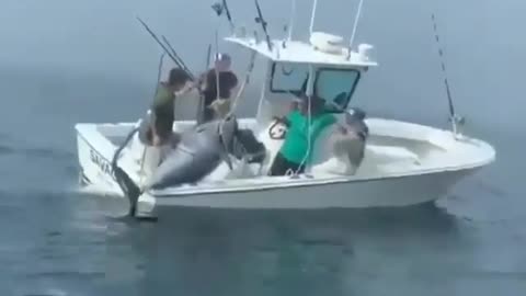 This is a beautiful and charming water-dwelling species