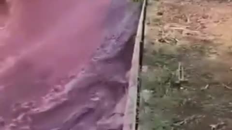 Vídeos engraçados