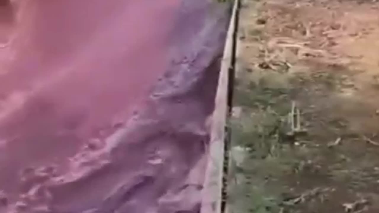 Vídeos engraçados
