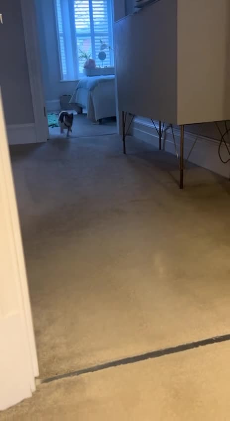 Not everyone looks forward to Mondays 🤣