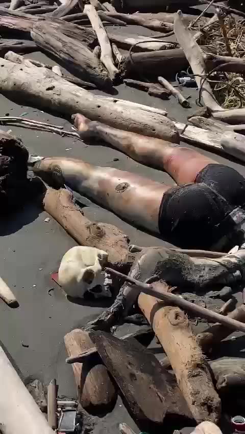 Encuentran cuerpo en Sabanilla