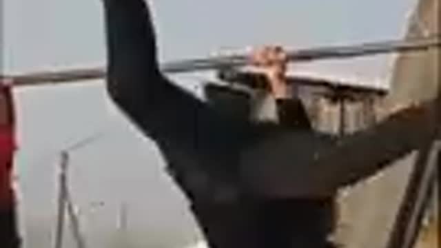 Respect and talented video