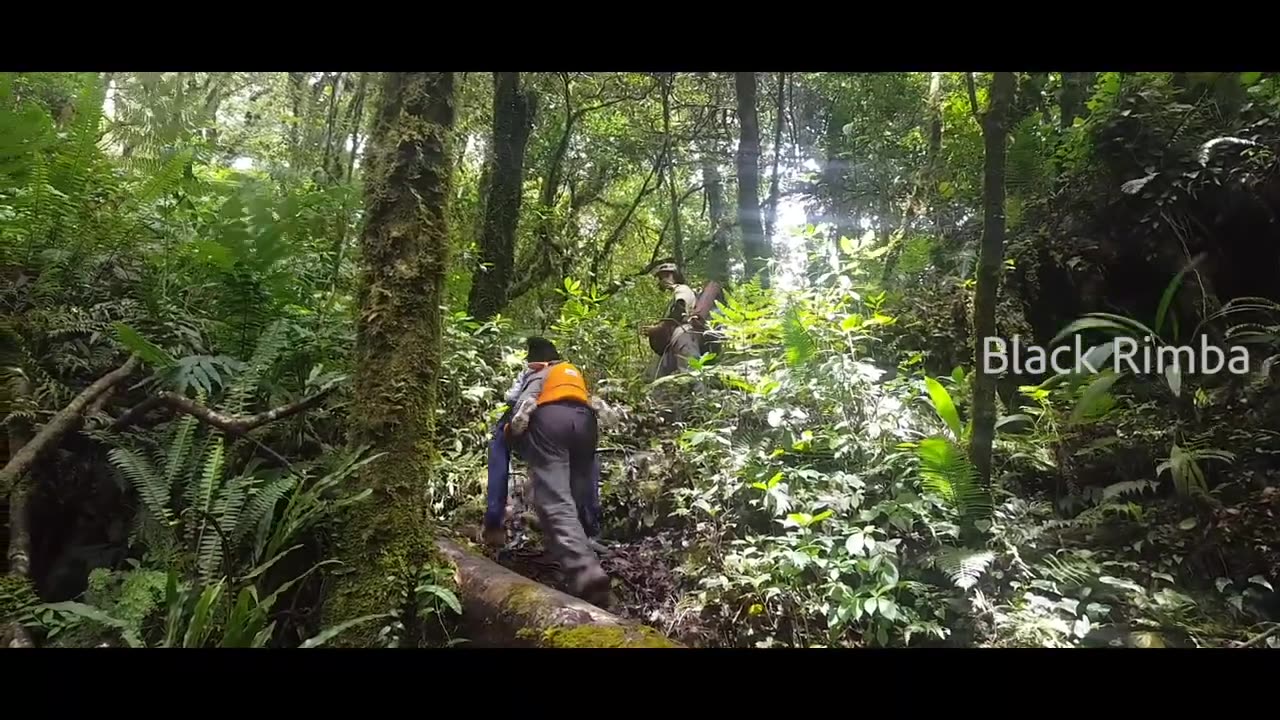 CC : Inside "Seulawah Agam" Mountain