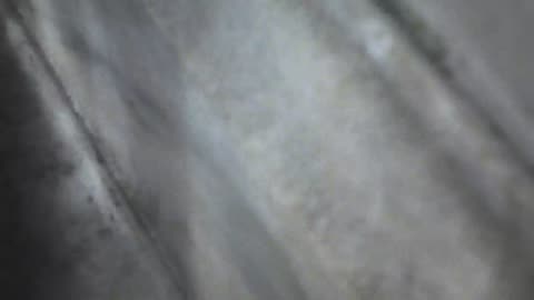1055RSOB01EExitSWSR129AExterior_2021-01-05_02h20min01s277ms.mp4