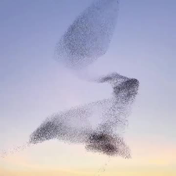 G'night fam... 😍😍😍