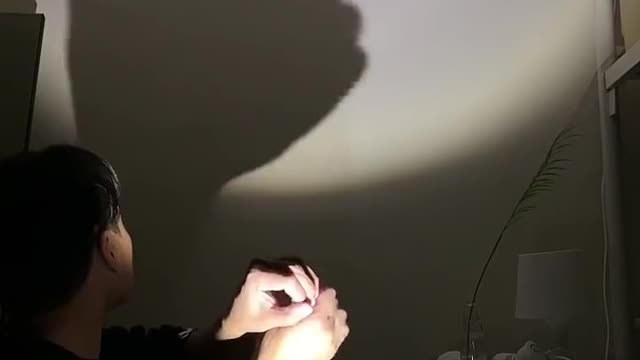 Hand shadow show