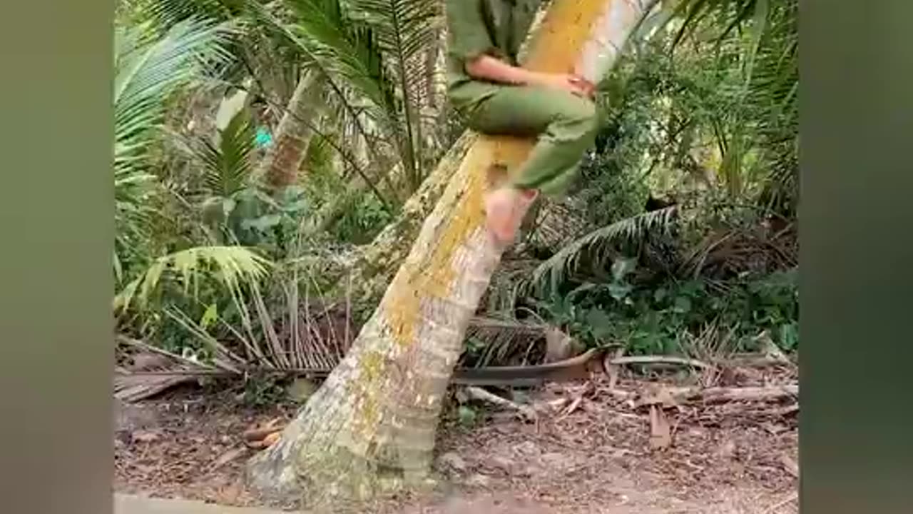 Top Trending Funny Moments