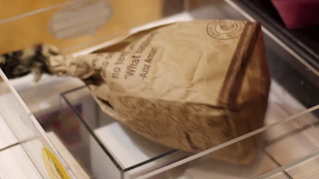 A moving bag toy.