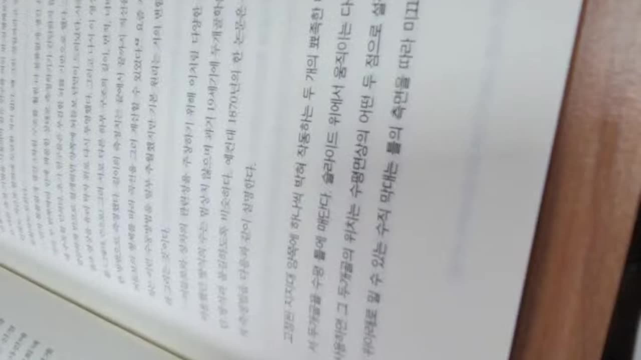 편견없는뇌,지나리폰,호모파리엔탈리스,뇌영상데이터,랠프홀러웨이, 크리스틴드라코스테우탄싱,뇌들보,우반구,백질구조,성차이,초기연구자,전쟁,젠더학전문가,유기물덩어리, 지지대