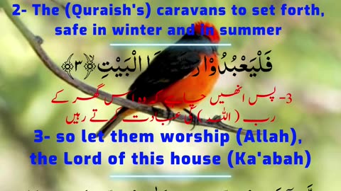 Beautiful Quran Recitation of Surah Quraish | Quran 106 | Surah 106 Al-Quraish