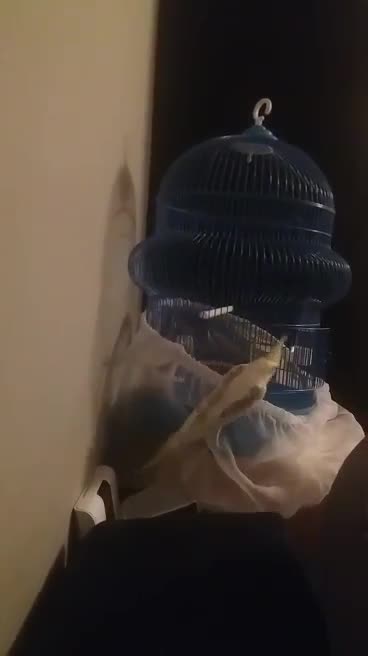 Struggling to get into your own place