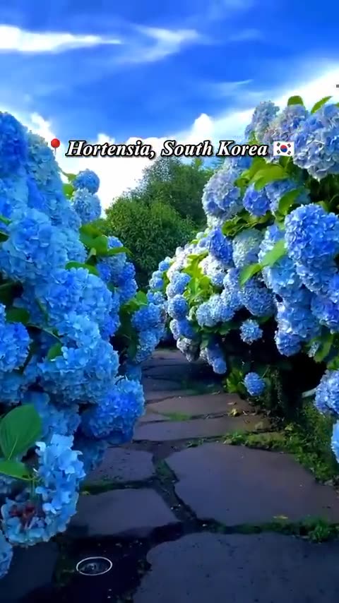 Places On Earth That Don_t Feel Real _travel _tiktok _shorts _explore _destinations