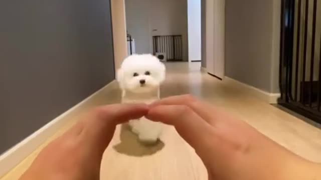 아라쓰 Woah🐩