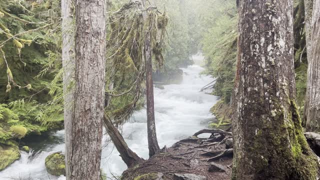 One of the Most Beautiful River Section in the State of Oregon – 4K