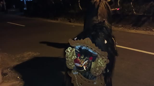 Ngelawang Barong Bangkung Bali