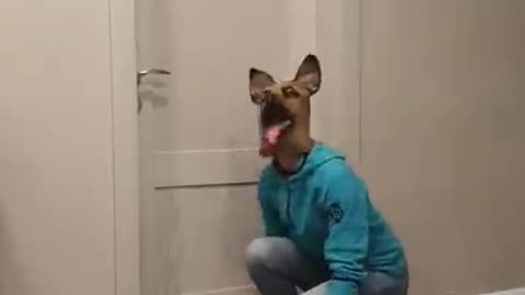 Dog opened a door