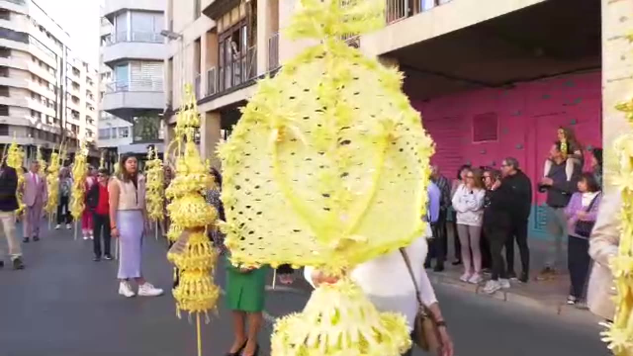 Miles de ilicitanos celebran el Domingo de Ramos con las palmas blancas