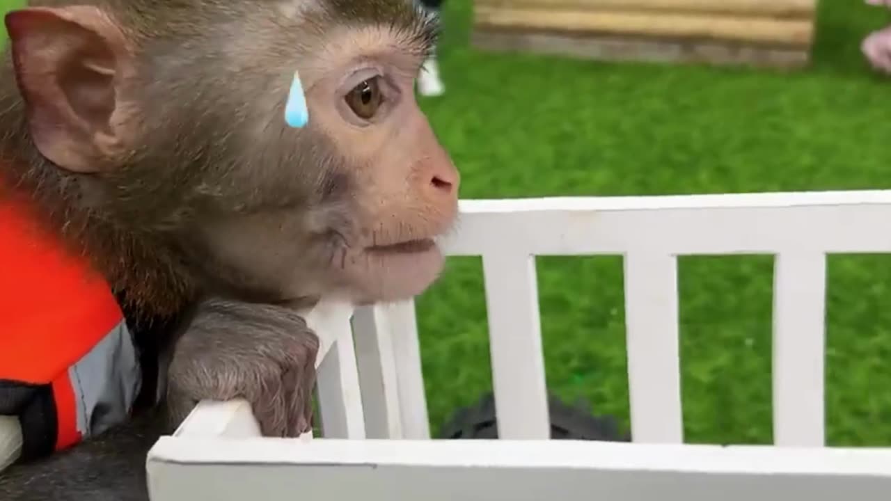 Smart Bim Bim become a firefighter take care of Obi monkey, duckling and cows at the farm