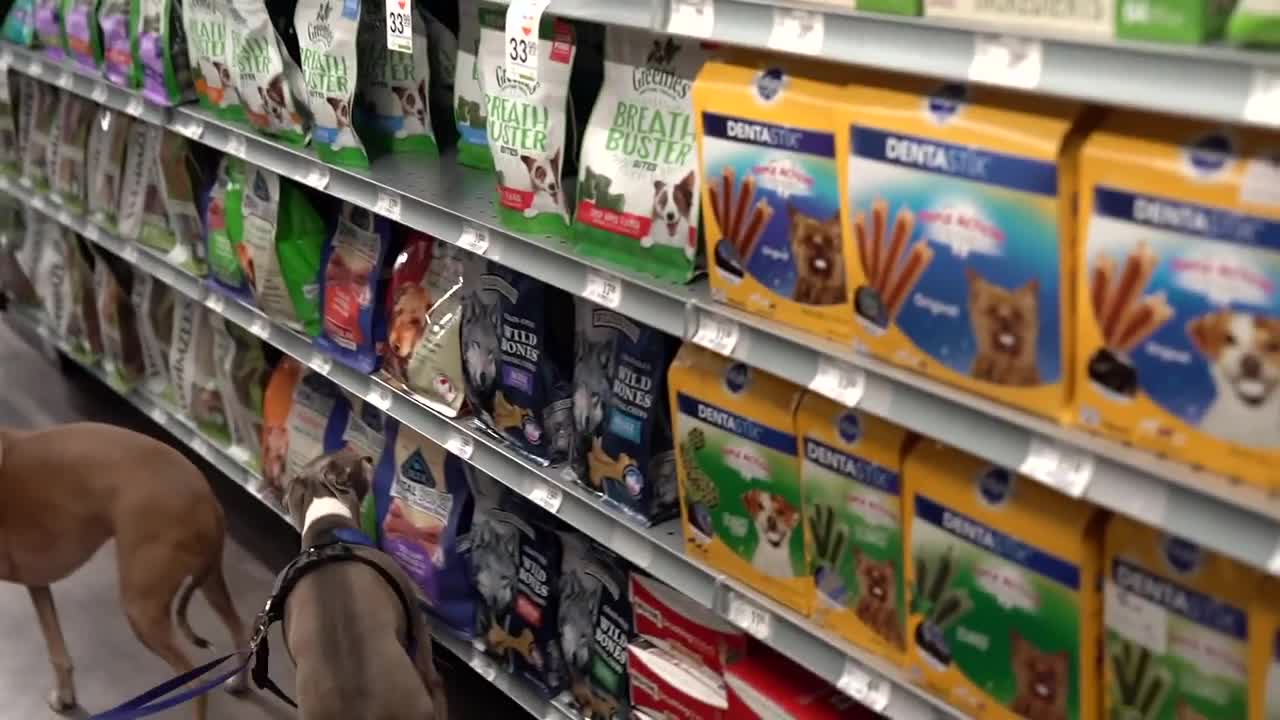 Buying My Dog Everything They Want