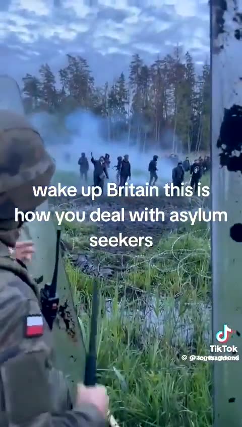 Polish border guards' tactics, countering violent illegal immigrants