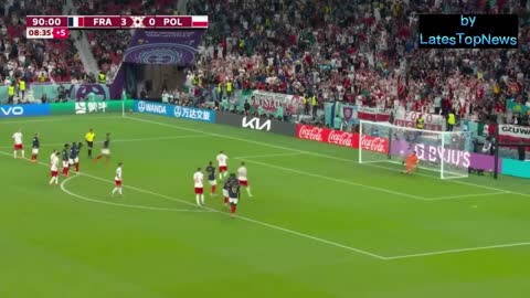 France vs. Poland - Game Highlights