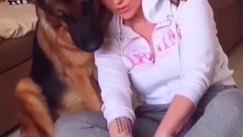 Attitude of Dog