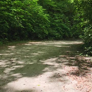 Fun Driving N. Georgia Mountains!