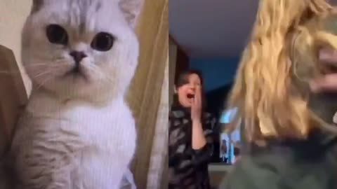 Cat duet reaction girls screaming