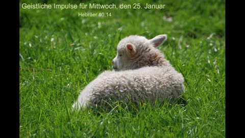 Geistliche Impulse für Mittwoch, den 25. Januar