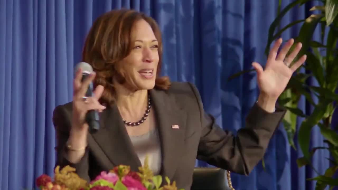 WATCH: Kamala Loses It Over… Venn Diagrams?