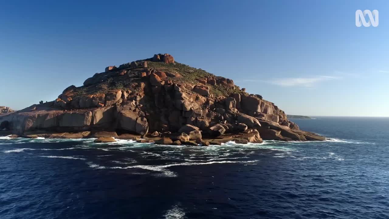 Conserving the Great Australian Bight | Magical Land Of Oz