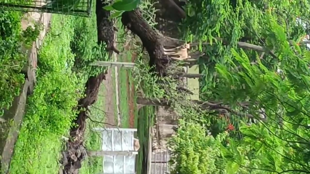 Bergi Dam Jabalpur 2×45 Mega watt Power Generation