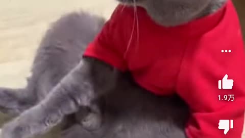 Funny and comedy 6