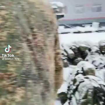 Russian Reinforcements in Vladivostok