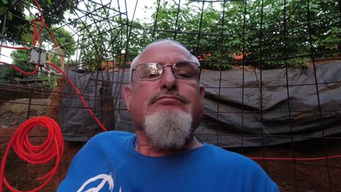 TWO WINGS ONE ENTITY