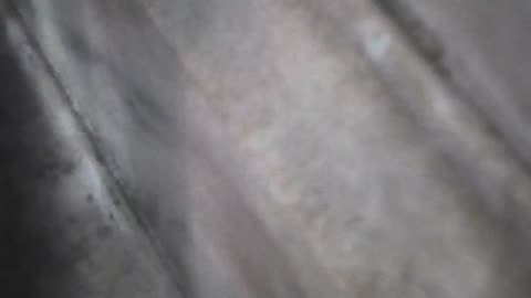 1055RSOB01EExitSWSR129AExterior_2021-01-05_00h40min00s913ms.mp4