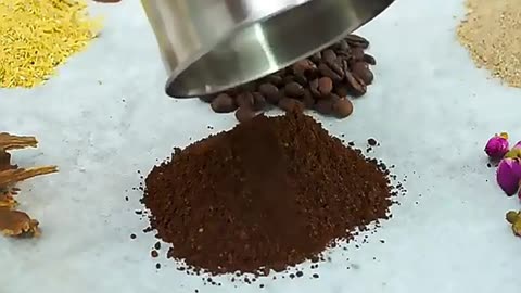 Coffee and Spice Grinder