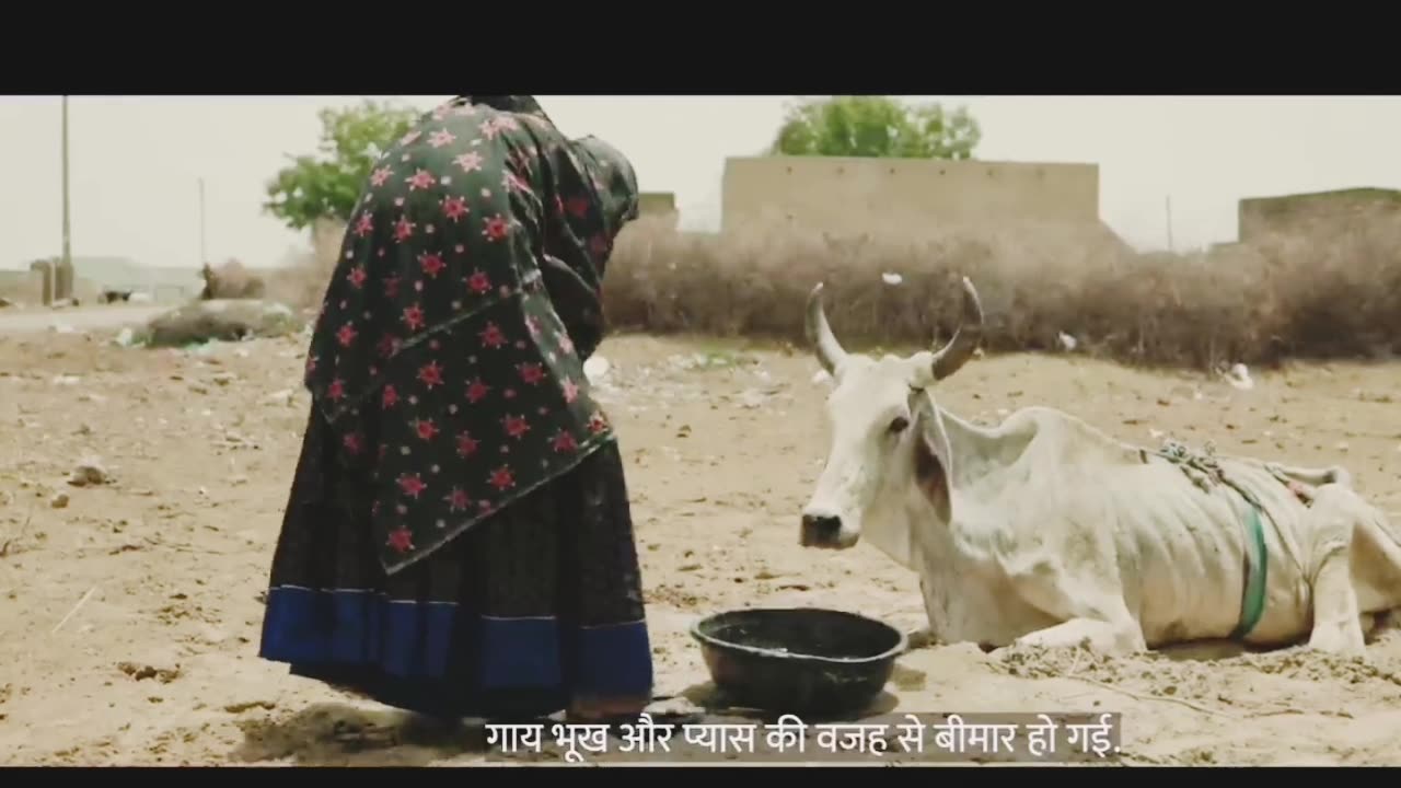 New video India and Pakistani thar aria